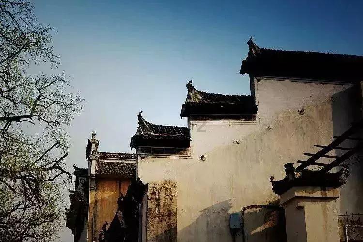 御龙在天手游